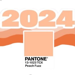 Pantone 2024 Color of the Year